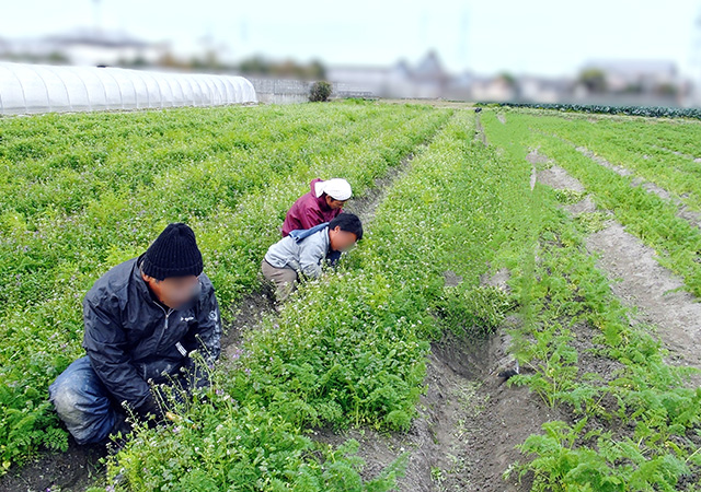 施設外での除草作業